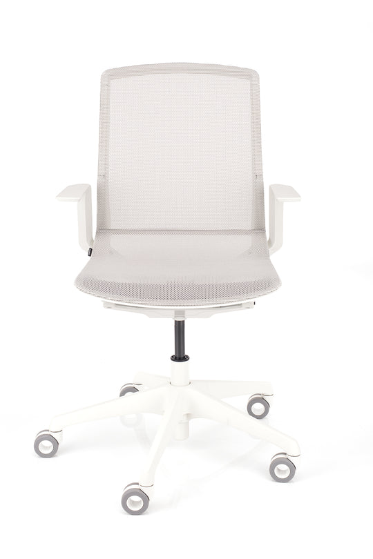 Pisarniški stol Cynara