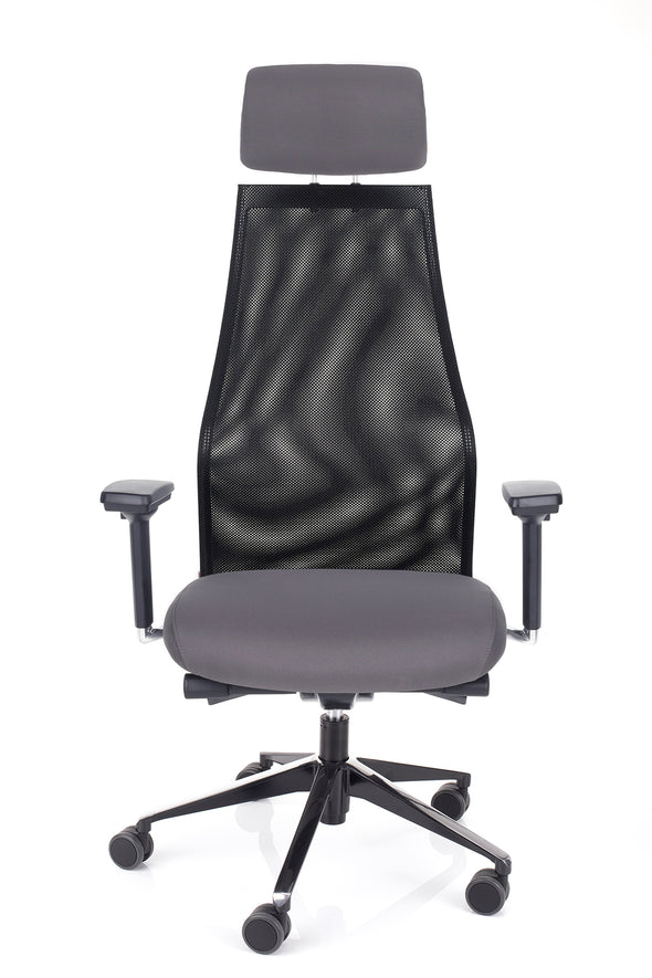 Ergonomski stol dynamic xl v sivi barvi z vzglavnikom